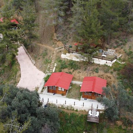 Bosco Paradiso Lemesos Exteriér fotografie