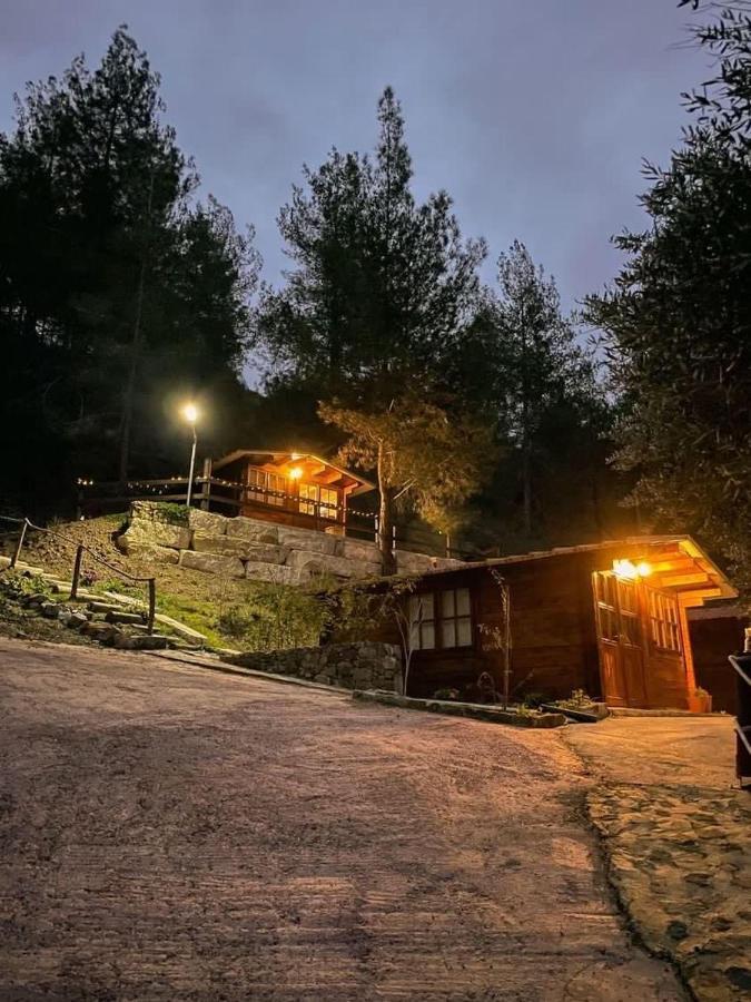 Bosco Paradiso Lemesos Exteriér fotografie