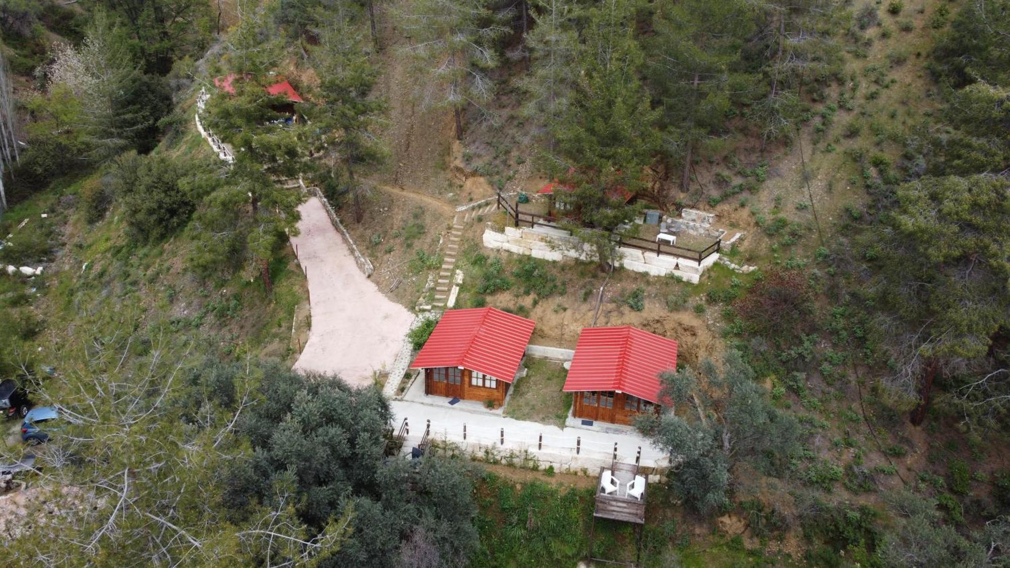 Bosco Paradiso Lemesos Exteriér fotografie